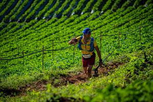 BIB: 
                            <button type="button" onclick="openModal(19161074)" class="btn btn-primary btn-sm float-right btn-popup" data-toggle="modal" data-target=".modal-high-quality">
                        <i class="fas fa-shopping-cart"></i> Add to Cart
                    </button>
                                            <button type="button" onclick="isThisMe(19161074, true)" class="btn btn-success btn-sm float-right btn-popup btn-isme hidden" data-toggle="tooltip" data-placement="bottom" title="นี่คือรูปของคุณใช่ไหม คลิกที่นี่เพื่อเอาเข้าอัลบั้ม">
                        <i class="fas fa-plus"></i> Add to album
                    </button>
                    <button type="button" onclick="isThisMe(19161074, false)" class="btn btn-warning btn-sm float-right btn-popup btn-isnotme hidden">
                        <i class="fas fa-ban"></i> Remove from album
                    </button>